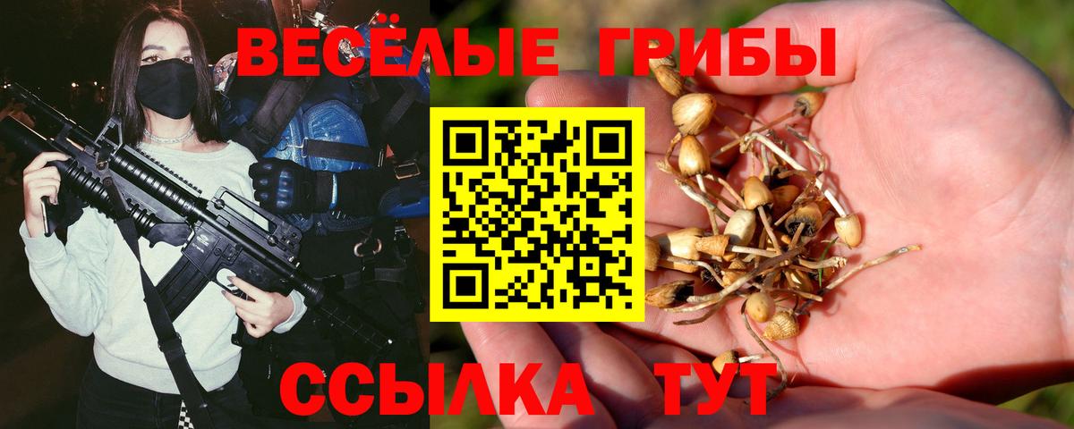 Псилоцибиновые грибы Magic Shrooms  Вход с VPN  Шарыпово 